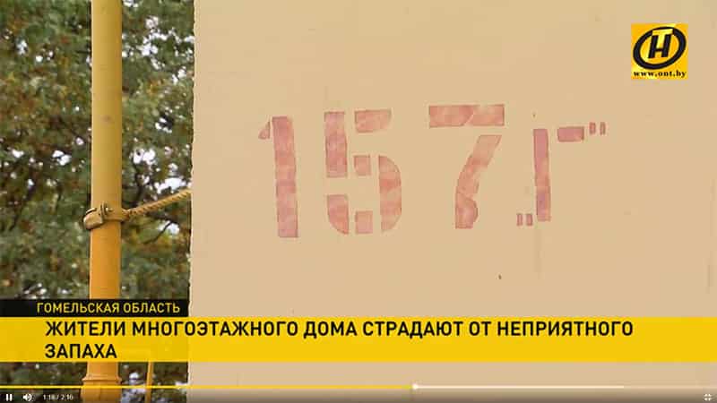 Канализационное «болото» в подвале: жители многоэтажки в Рогачёве страдают от резкого неприятного запаха