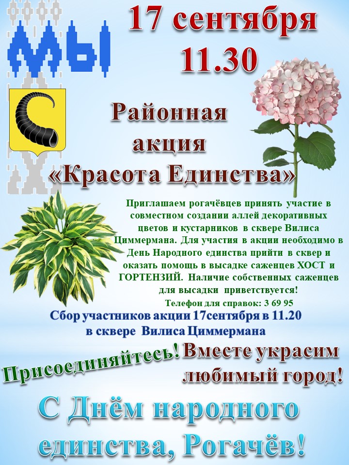 Пройдет районная акция "Красота единства"