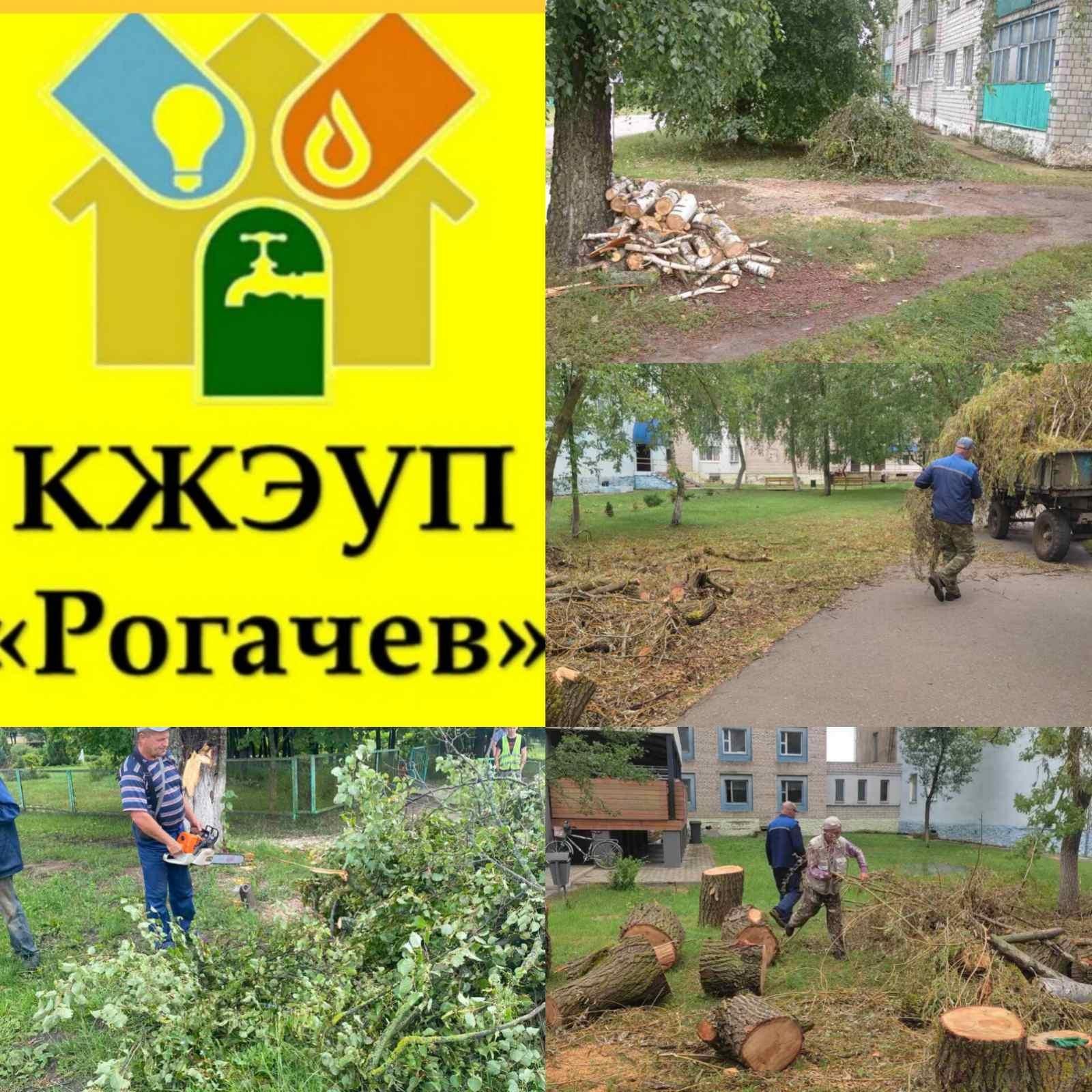 Ураган в Рогачеве: коммунальники убирают поваленные деревья