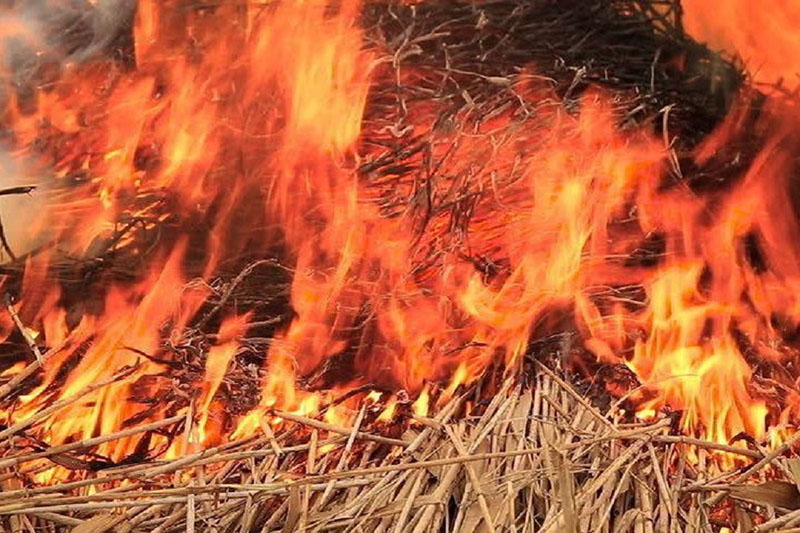 Рогачевский район. В Острове горело сено: не исключен поджог!
