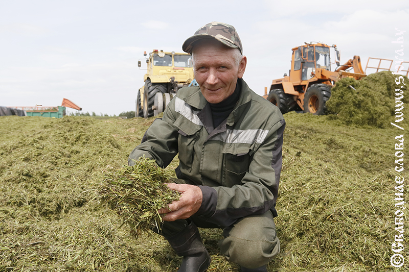 Вести с зеленых полей