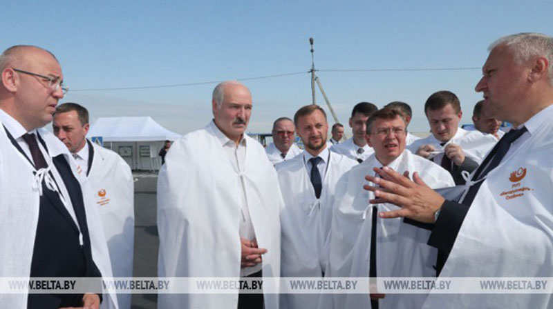 Лукашенко потребовал взять под жесткий контроль ситуацию с падежом скота