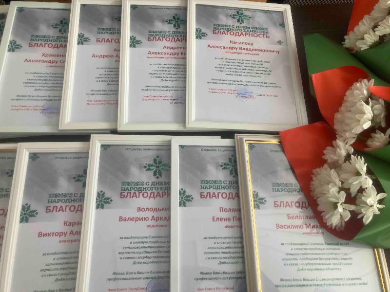 «Тихиничи»: единство в общем деле