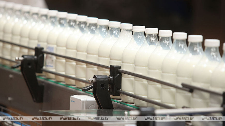 Беларусь лидирует в Европе по производству молока и молочных продуктов: 841 кг на человека в год