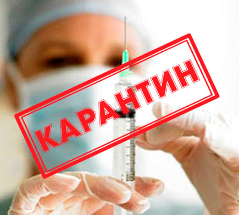 Австрия, Чехия, Дания и Норвегия намерены ослабить карантинные меры