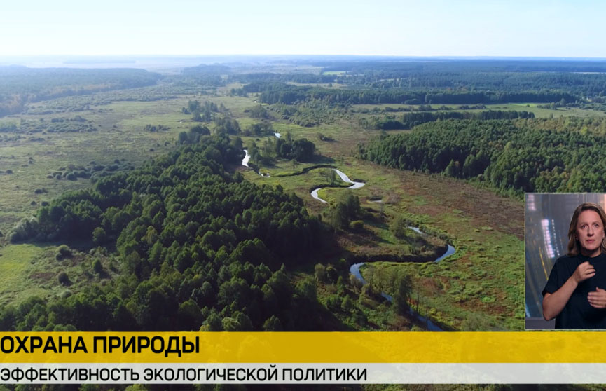 Беларусь входит в число стран с минимальным уровнем загрязнения природы