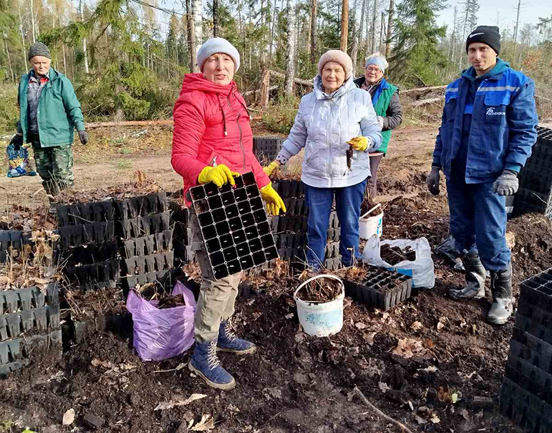 Посадили будущее.  Ветеранский актив  дал жизнь 2500 дубкам