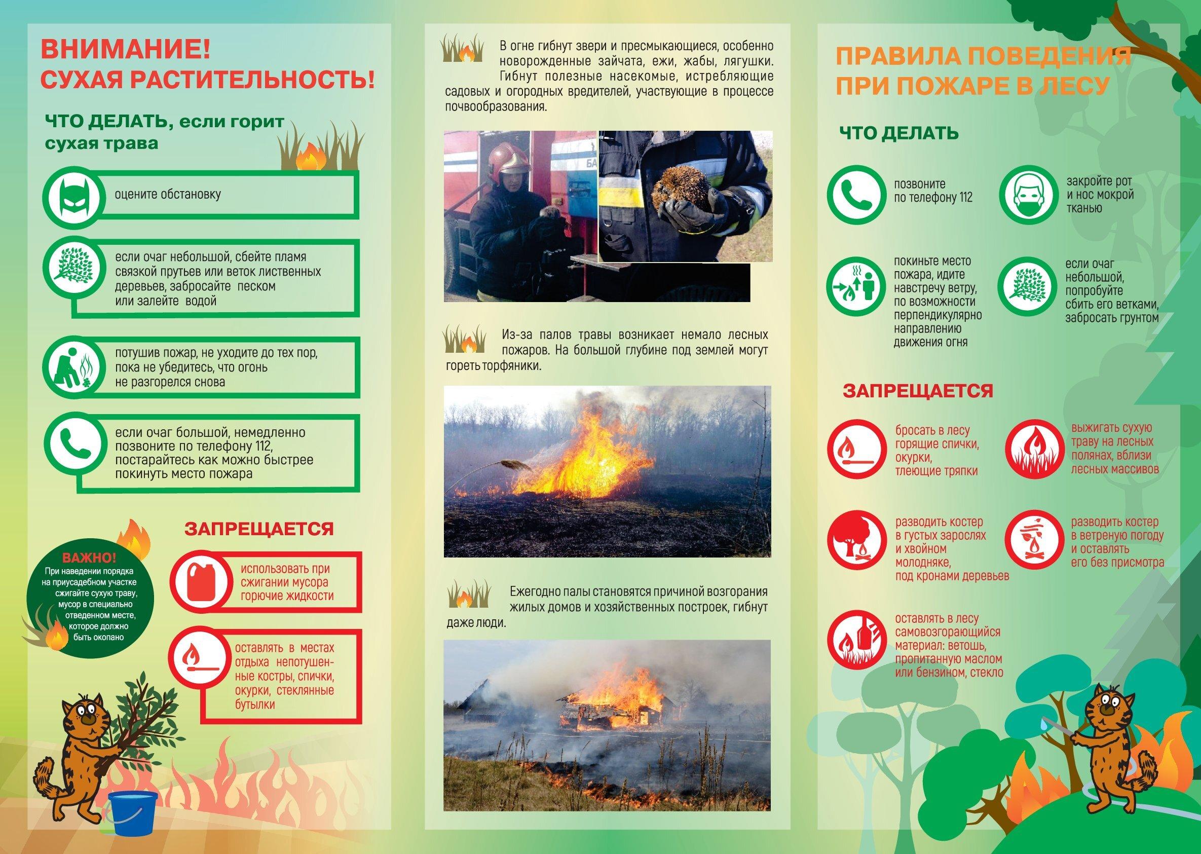 Горит трава: в выходные дни спасатели провели профилактические рейды, охватив порядка 400 населенных пунктов области