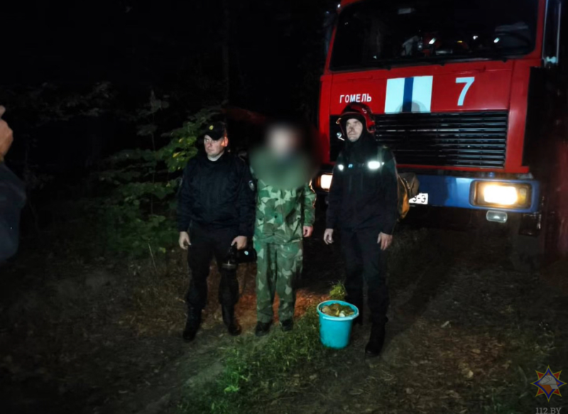 Повербанк в кармане или как не потеряться в лесу: в областном управлении МЧС рассказали о сезонной опасности