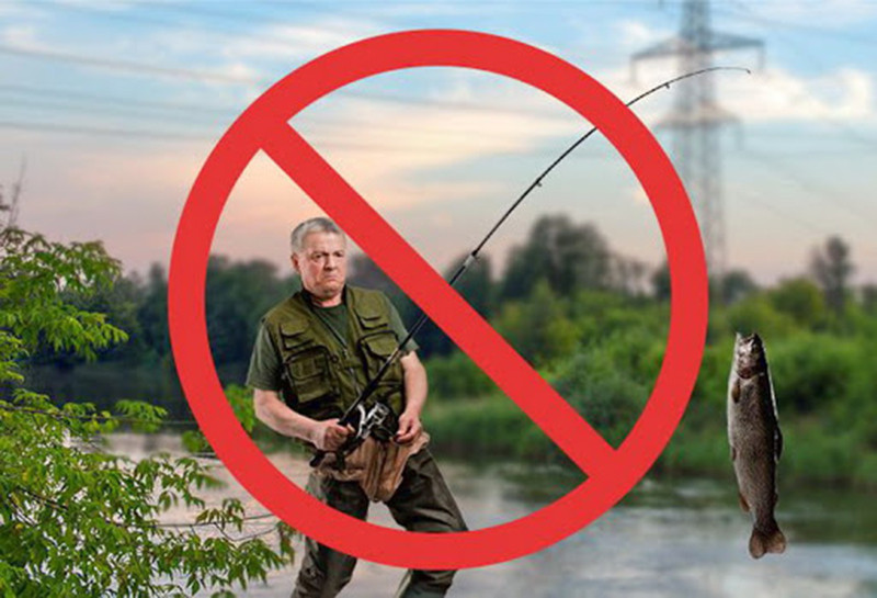 Любое хобби должно быть безопасным