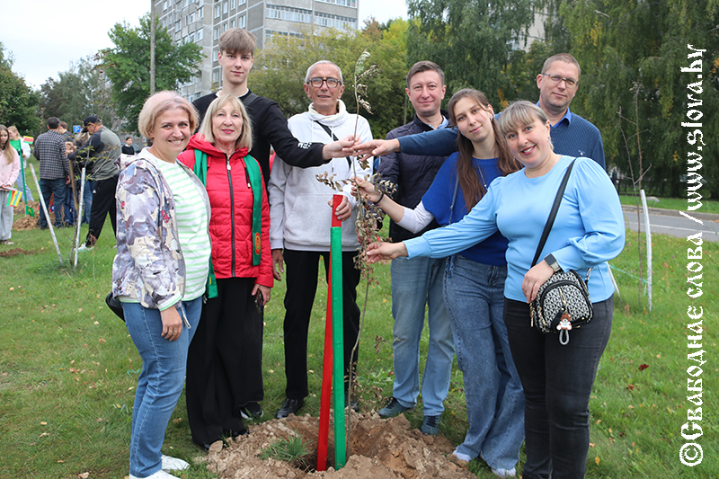 Семейную рябиновую аллею заложили в Рогачеве