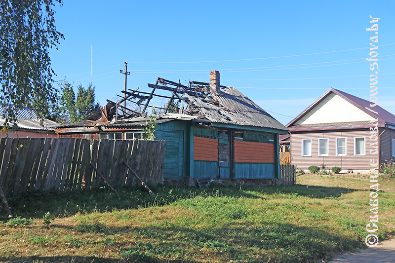 Под крышей дома… чьего?