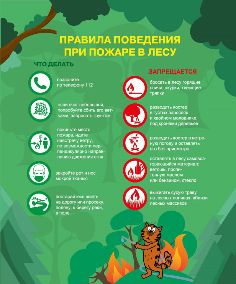 Защитим лес от пожара!