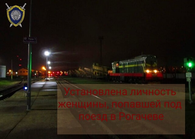Установлена личность женщины, попавшей под поезд в Рогачеве