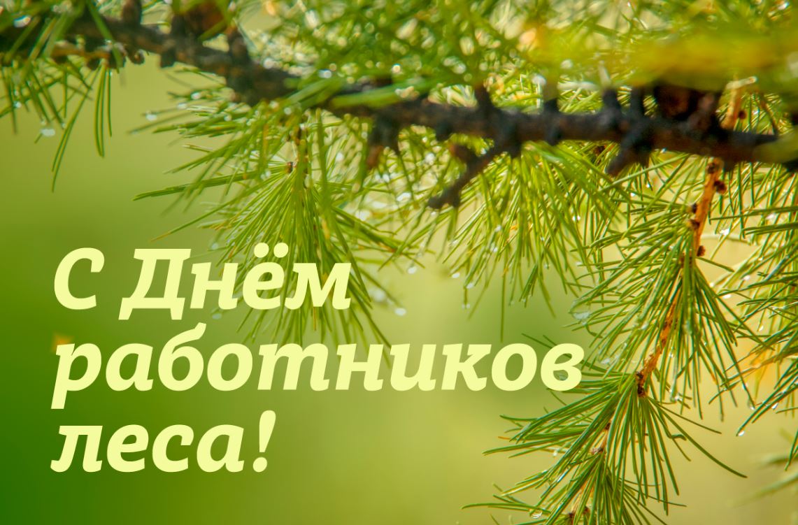 21 сентября День работников леса