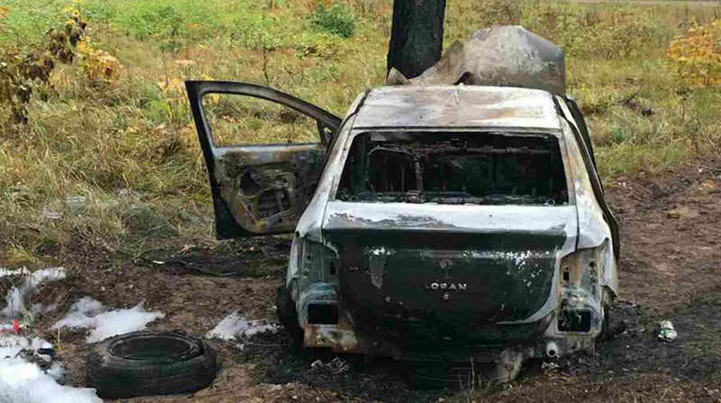 В Гомельской области вылетели с дороги и врезались в дерево три легковушки