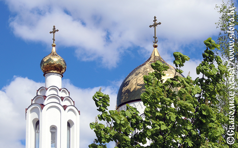 Виды Рогачева