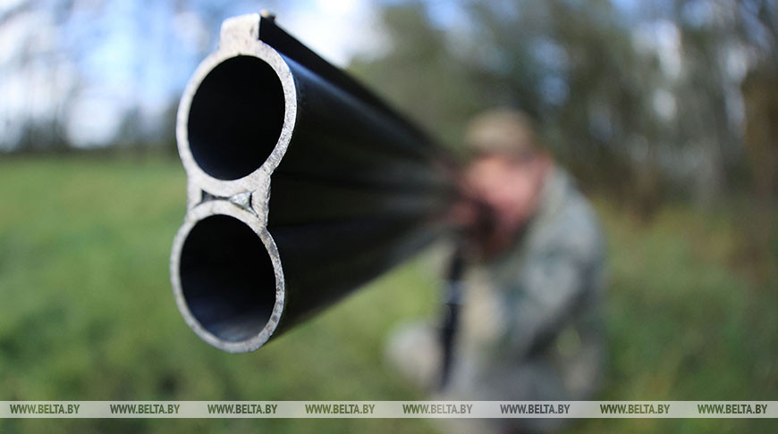 Сезон загонной охоты на копытных откроется в Беларуси 1 октября