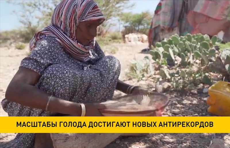 Масштабы голода в мире достигают новых антирекордов