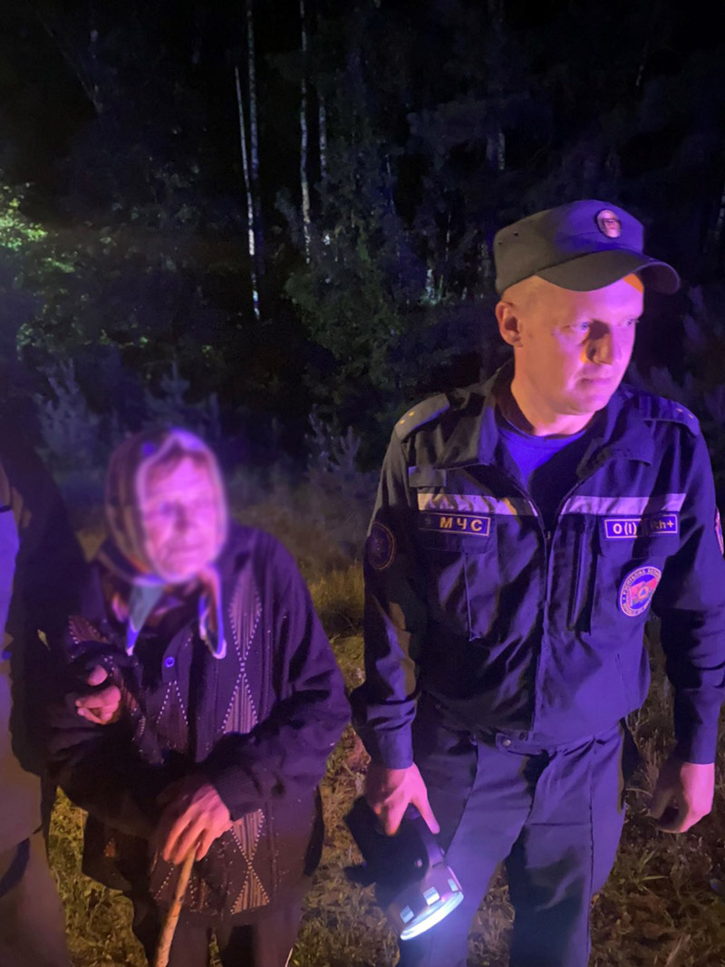 В Рогачевском районе пенсионерка потерялась в лесу. На помощь пришли спасатели