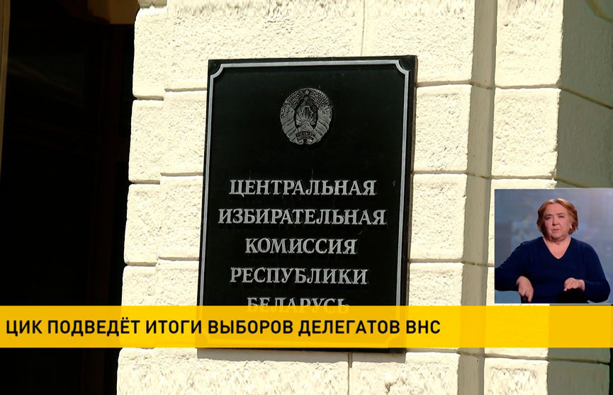 ЦИК подводит итоги выборов делегатов ВНС