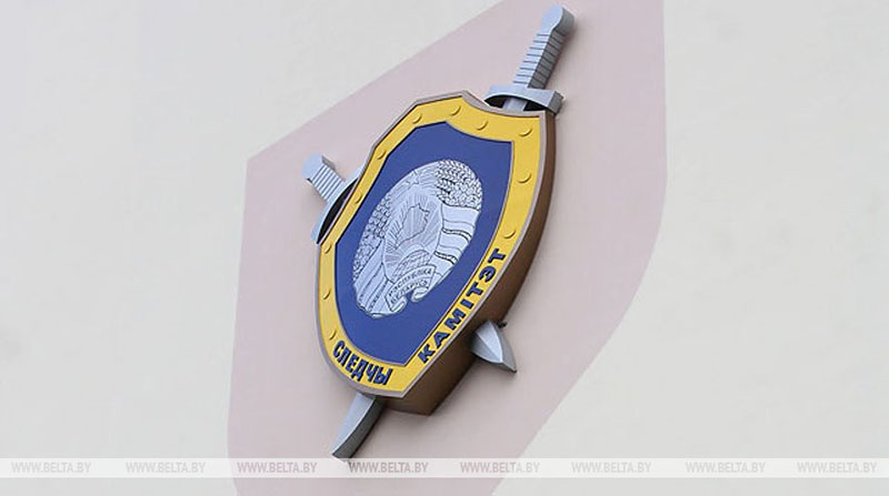 Готовили захваты исполкомов в Гомеле: СК завершил расследование дела по доверенным лицам Тихановской