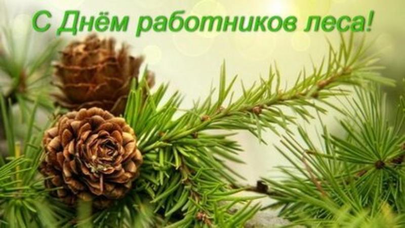 20 сентября – день работников леса