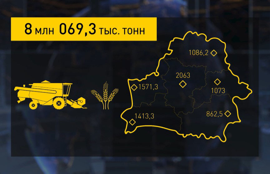 Уборочная-2022: аграрии намолотили более 8 миллионов тонн зерна