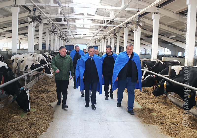 Министр сельского хозяйства и продовольствия Юрий Горлов проинспектировал работу сельхозпредприятий Рогачевского района