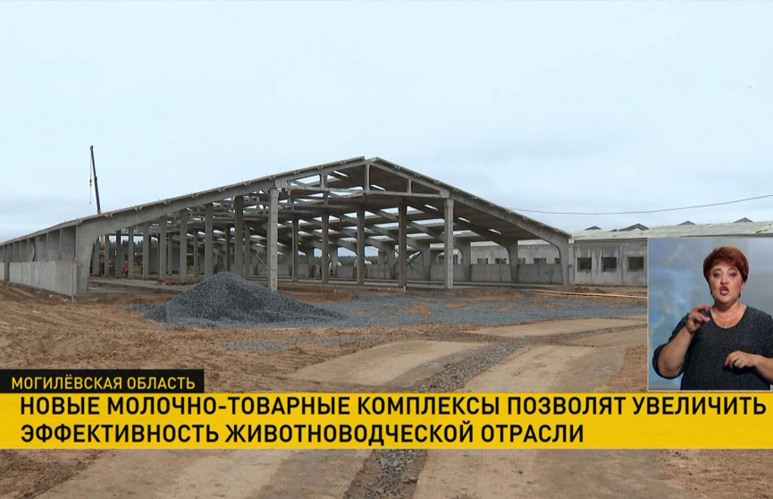 До конца следующего года в Беларуси планируют ввести в эксплуатацию 60 новых молочно-товарных комплексов