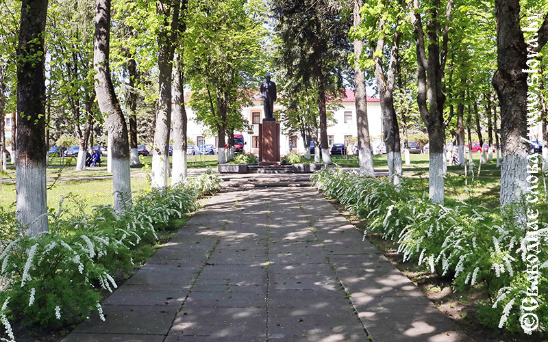 Виды Рогачева