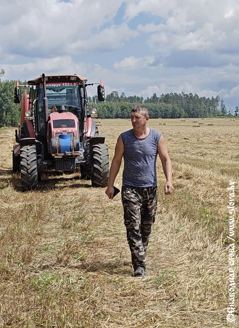 Разговор с полем, или Один день из жизни агронома