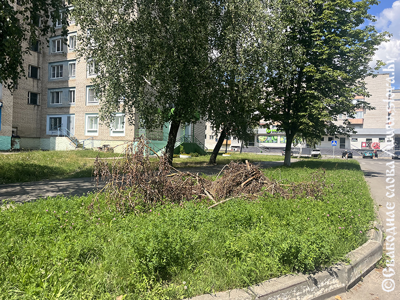 Микрорайон не красит