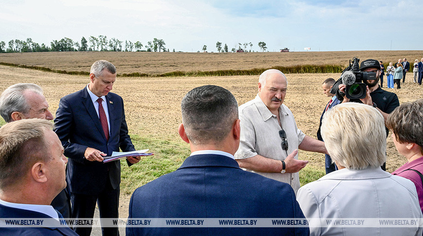 Лукашенко ориентирует на получение в Беларуси урожая маслосемян рапса около 1 млн тонн