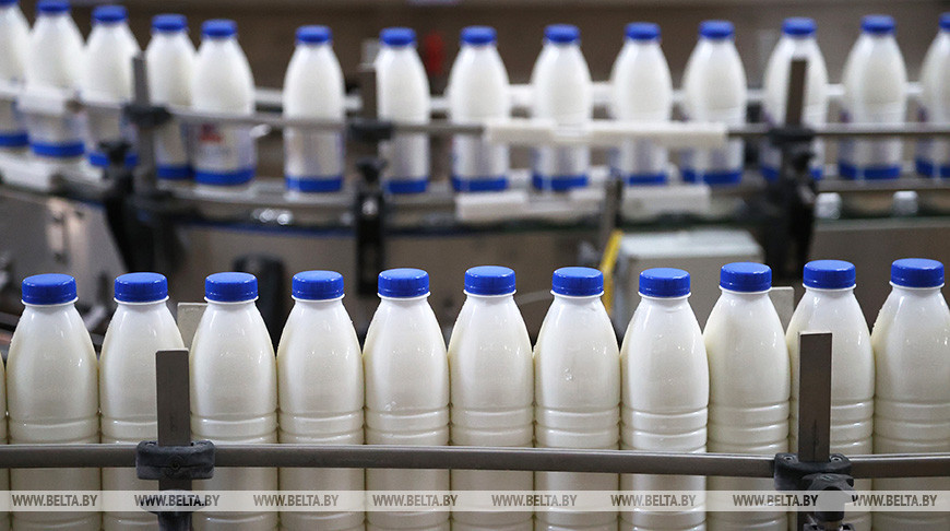 Белорусские производители молочной продукции намерены увеличивать поставки в Египет