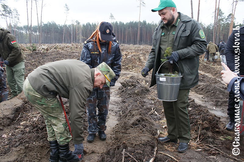 В едином трудовом порыве
