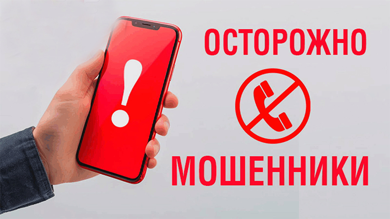 Коды, пенсии, крипта: о чем говорят  мошенники с рогачевцами