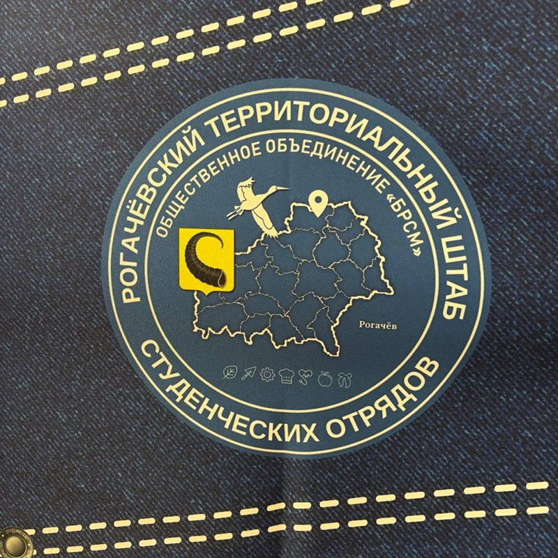 Труд крут: дан старт проекту «Выбираем студотряд!»