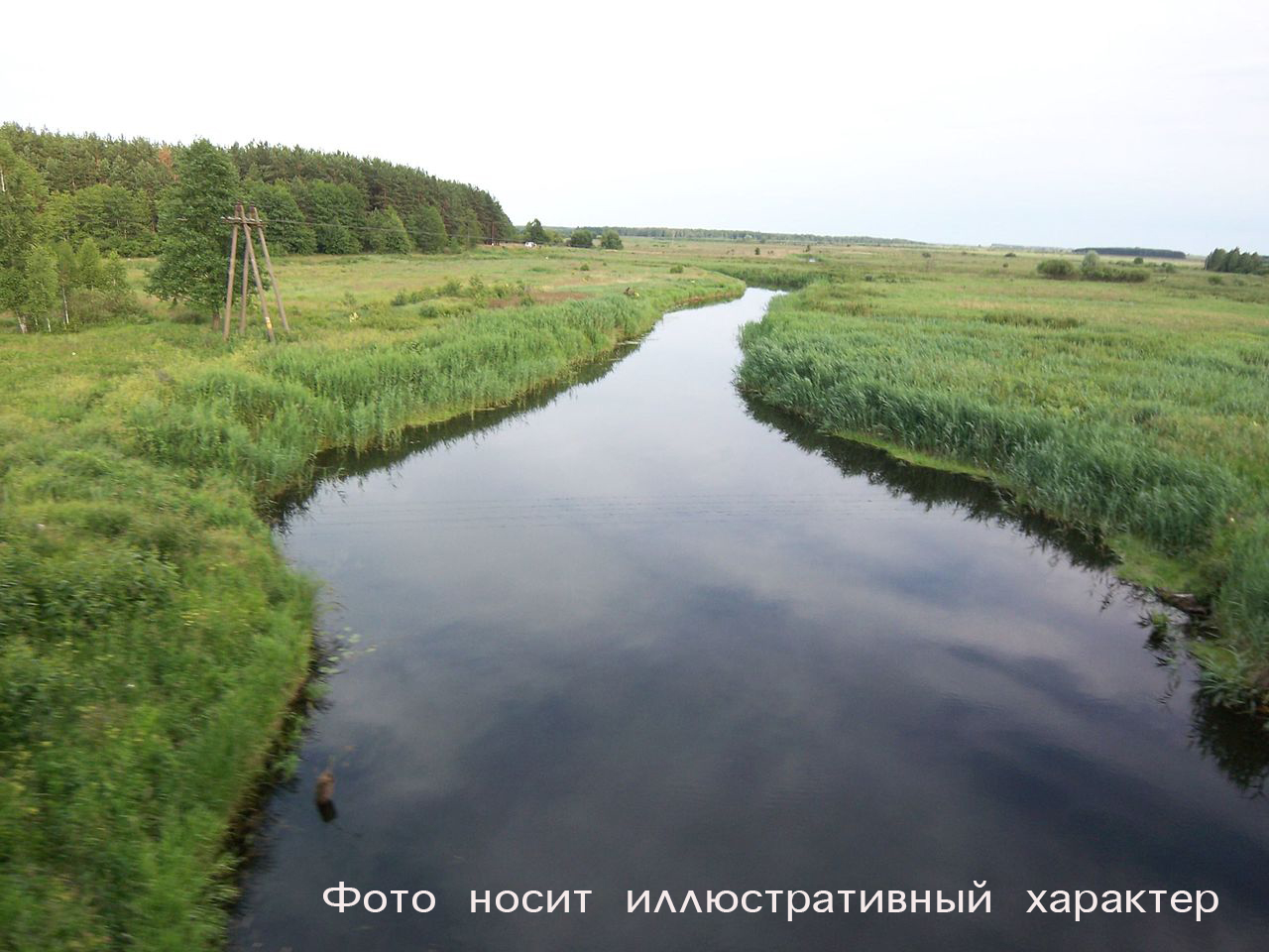 Гибель рыбы: что говорят специалисты