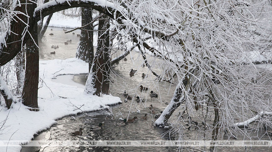 На реках Беларуси отмечается спад уровней воды