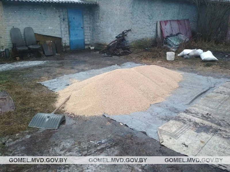 В Рогачеве водитель получил 2,5 года ограничения свободы за кражу зерна