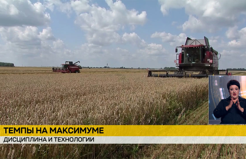 Уборочная-2025: намолоты приближаются к 4 млн зерновых с учетом рапса