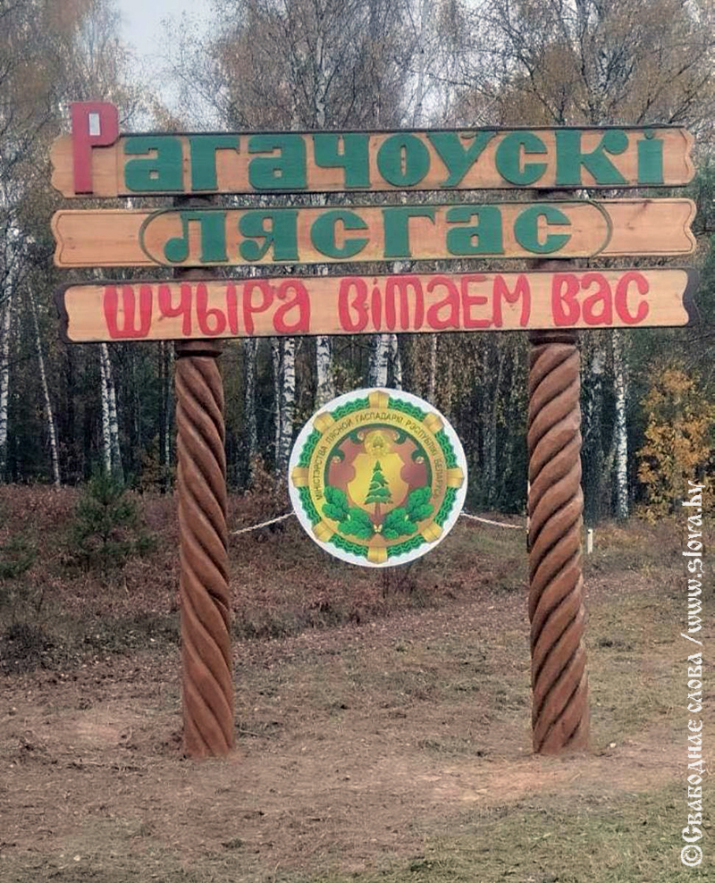 Ветлівы знак  запрашае ў лясніцтва