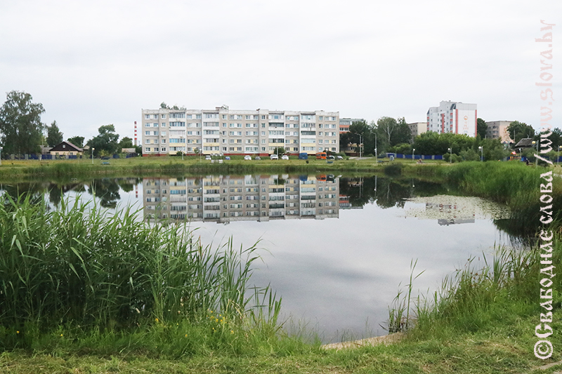 Тень добрых дел