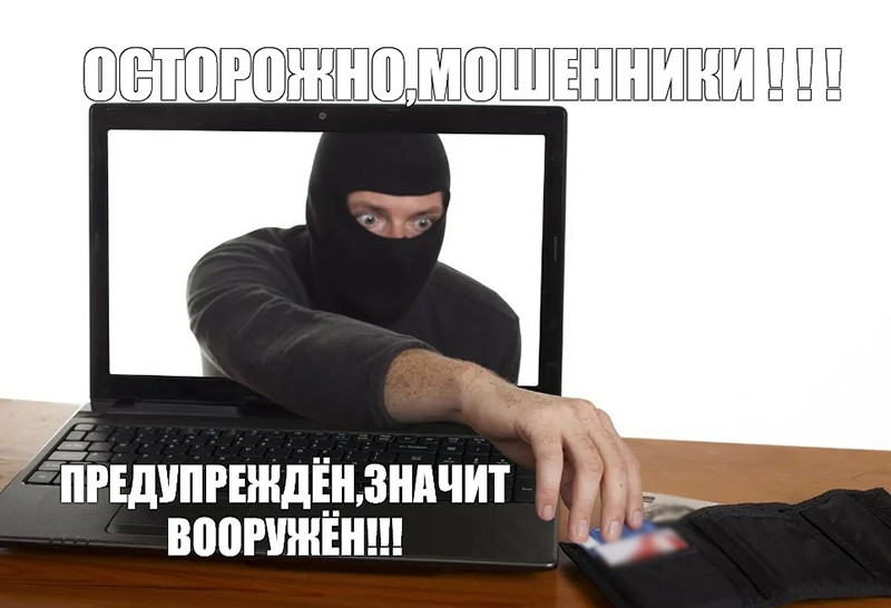 За год рогачевцы отдали мошенникам почти 124 тысячи рублей