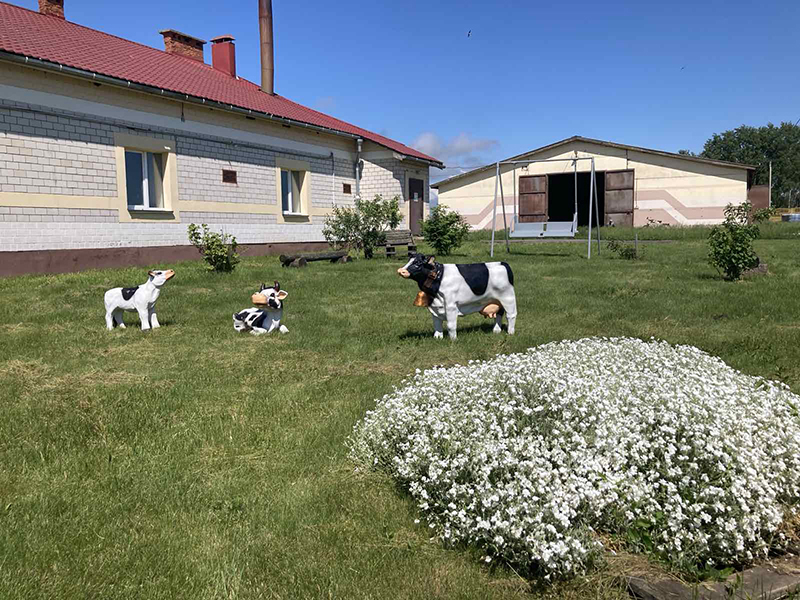 Тихиничи: новые акценты в родном агрогородке