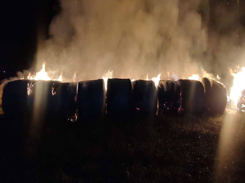 В Довске сгорело сено