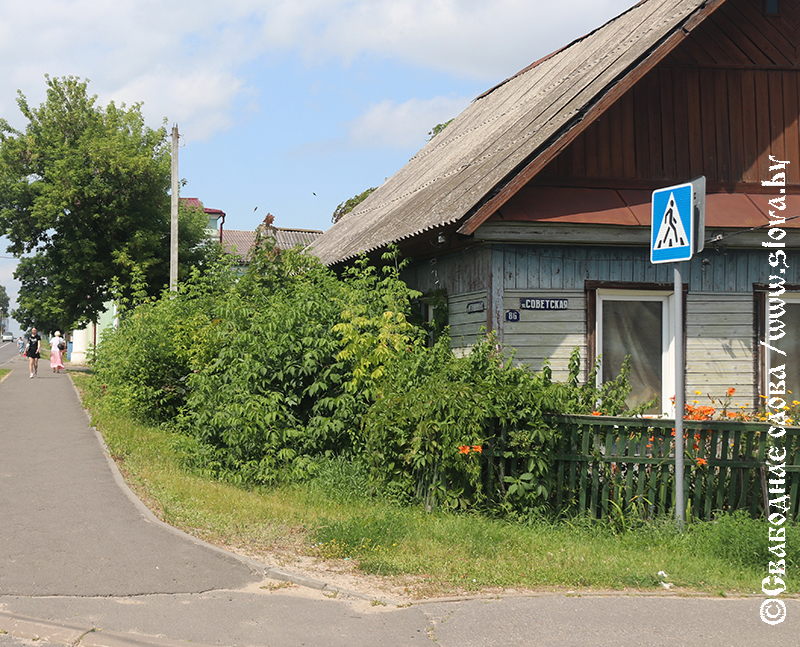 Веселенько так,  зелененько…