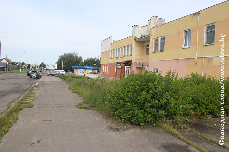 Быть или не быть? Цветам