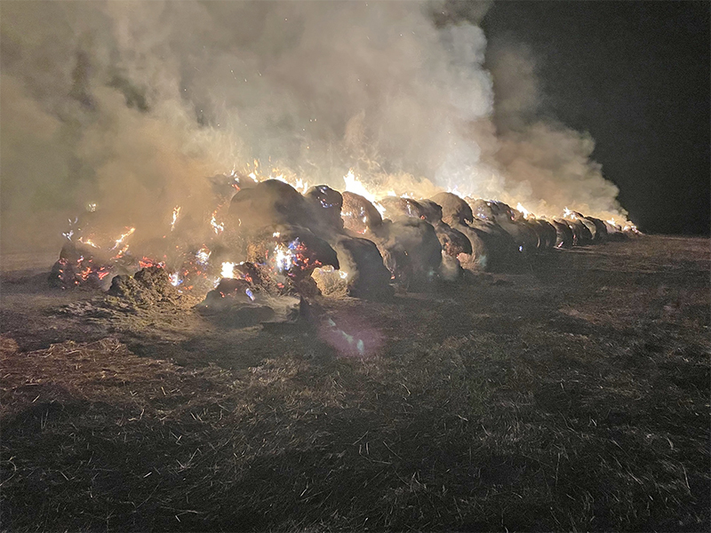 В Рогаческом районе горела скирда соломы